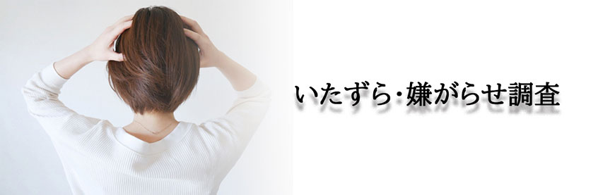 【静岡県西部エリア　探偵】素行調査｜静岡県西部エリアで素行調査で探偵をお探しならスマイルエージェント静岡西部にお任せください。